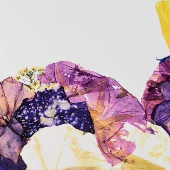 Real pressed flower 8x10 bunny rabbit art print - Picture 2 of 4